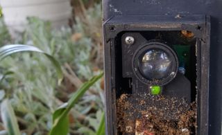 Ant nest - beam replacement