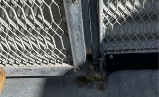 Img 7664