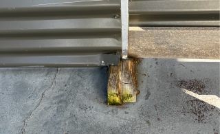 Img 7665