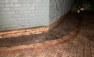 Img 9230